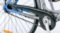 Trade Star Kettenschutz Für Pegasus Solero Nabenschaltung