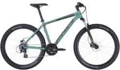 Bulls Wildtail 2 Disc 29 Race Mountainbike