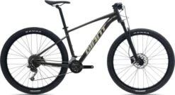Giant Talon 2 Race Mountainbike