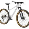 Focus Whistler 3.8 Race Mountainbike