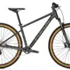 Focus Whistler 3.9 Race Mountainbike