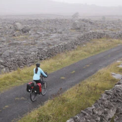 Ortlieb Back-Roller Pro Classic Gepäckträgertasche -Abus Verkäufe backrollerpro classic detail4KE1mIaxrRxa92