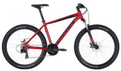 Bulls Wildtail 1 Disc 29 Race Mountainbike